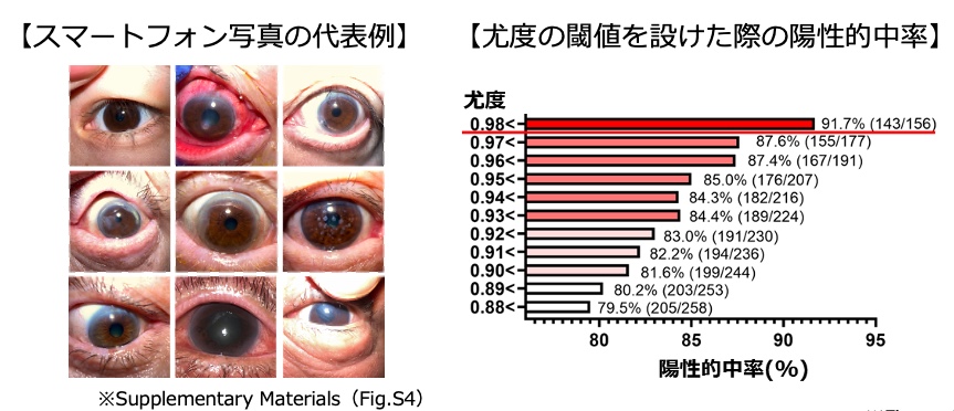 検証データ